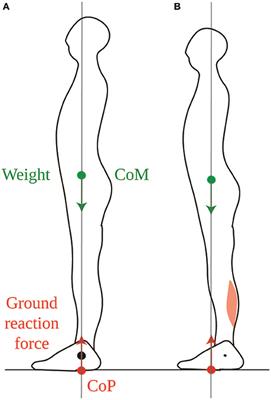 Mobility as the Purpose of Postural Control